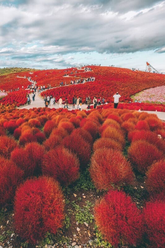 The 10 Most Beautiful Places in Japan - Avenly Lane Travel