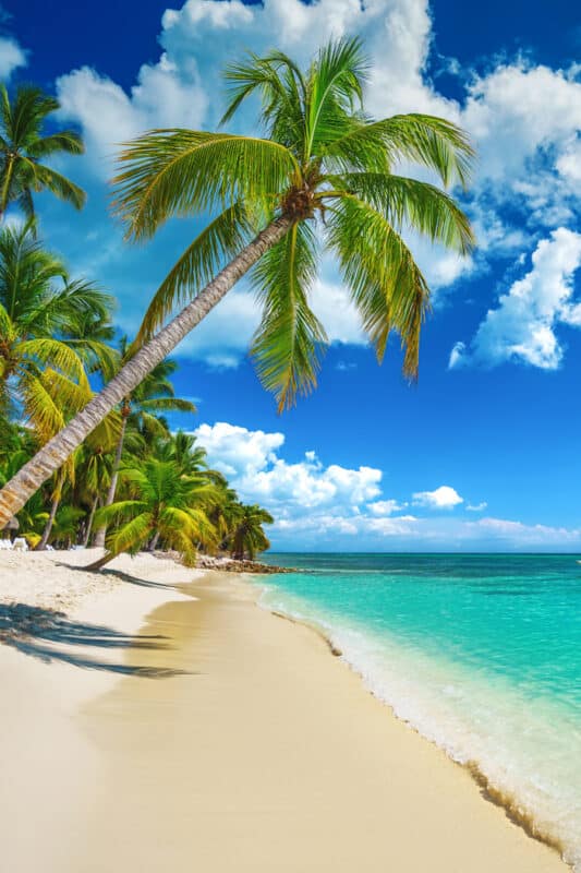 Bavaro Beach Punta Cana (Best beach!) - Avenly Lane Travel