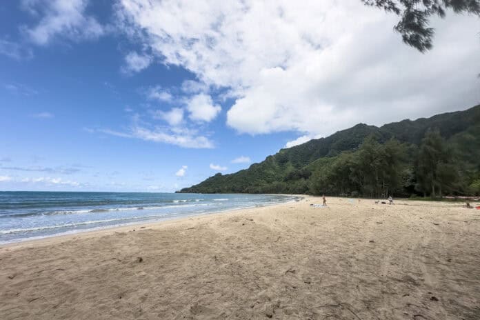 Kahana Bay Beach Park: Full Guide! - Avenly Lane Travel