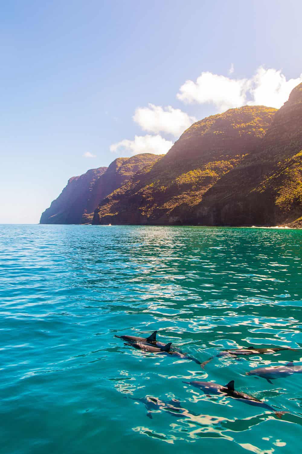 Napali Coast boat tour