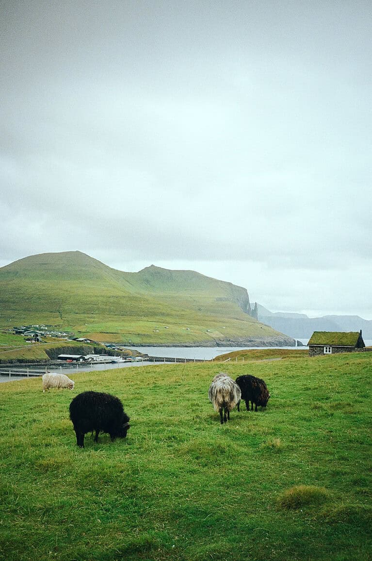 The Faroe Islands on Film