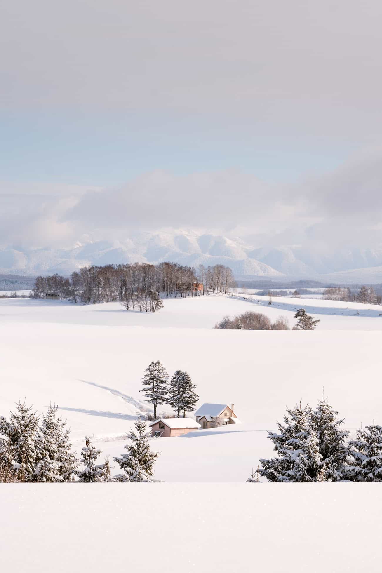 Farmhouse in Biei winter